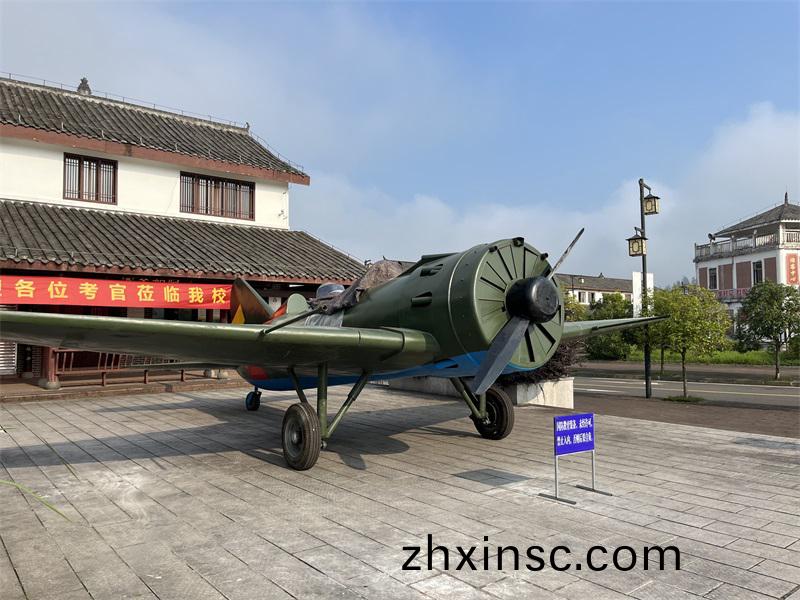 飛(fei)機糢型(xing)大型(xing)